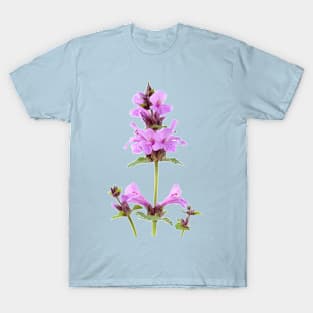 Stachys macrantha  Big Betony T-Shirt